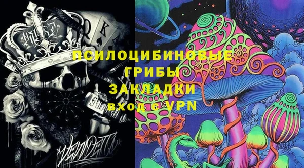 СК Алексеевка