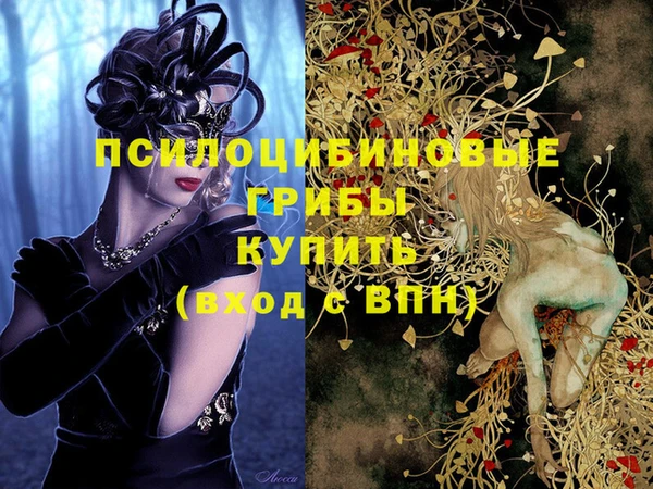 СК Алексеевка