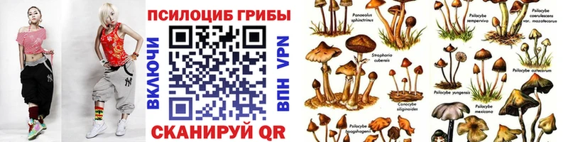 Галлюциногенные грибы Psilocybe  blacksprut маркетплейс  Нюрба 